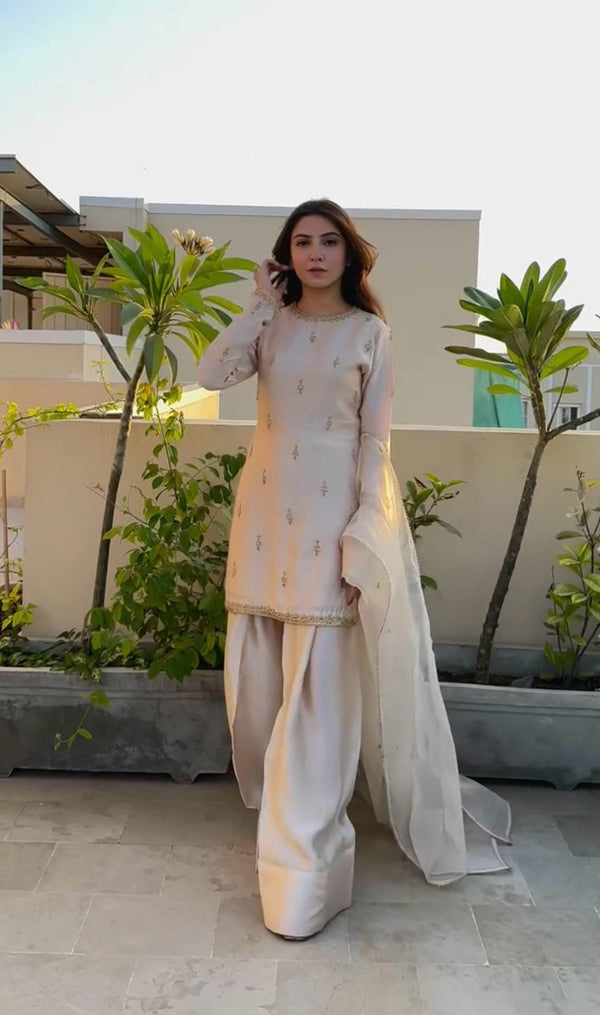 Delightful Embroidery Work Cream Color Palazzo Suit