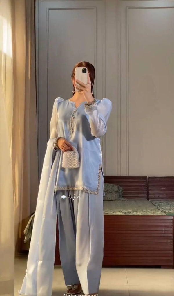 Decent Embroidery Work Grey Color Palazzo Suit