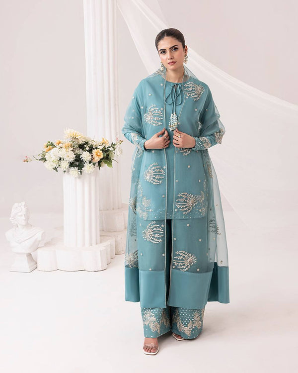 Casual Wear Embroidery Work Sky Blue Palazzo Suit