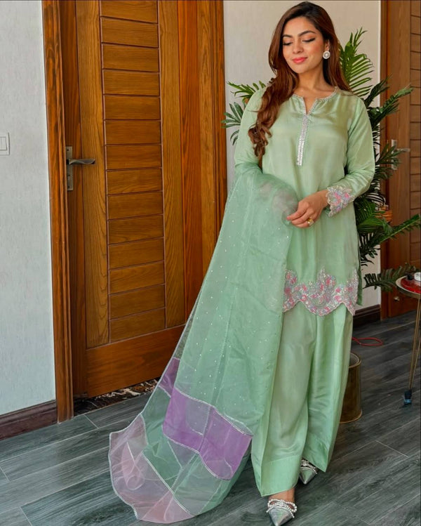 Stylish Pista Crepe Sequence Work Punjabi Style palazzo Suit